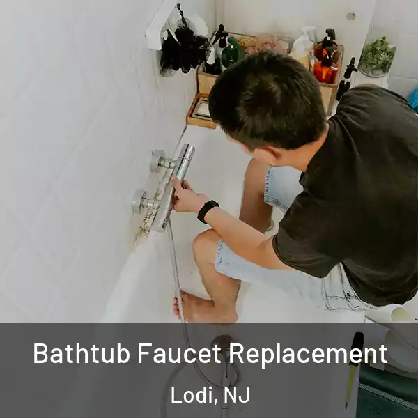  Bathtub Faucet Replacement Lodi, NJ