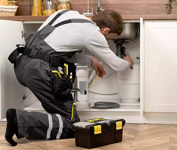 Certified Plumbers for Insinkerator Installation in Lodi