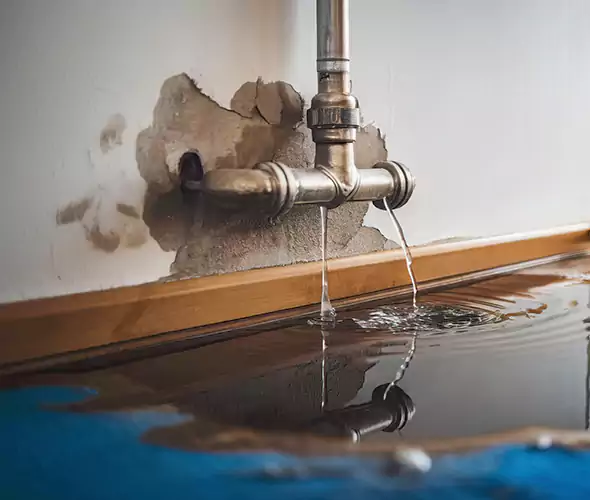 Professional Water Damage Restoration Experts in Lodi, NJ — Fast, Reliable & Certified