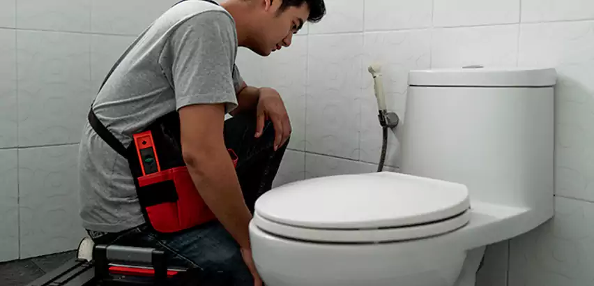 Toilet Repair in Lodi