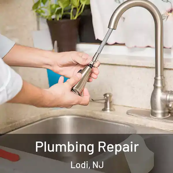  Plumbing Repair Lodi, NJ